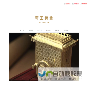 轩王珠宝有限公司